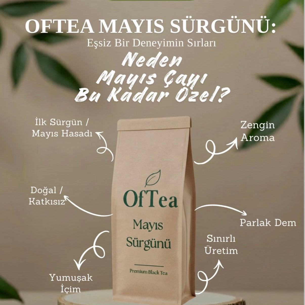 Oftea Çay